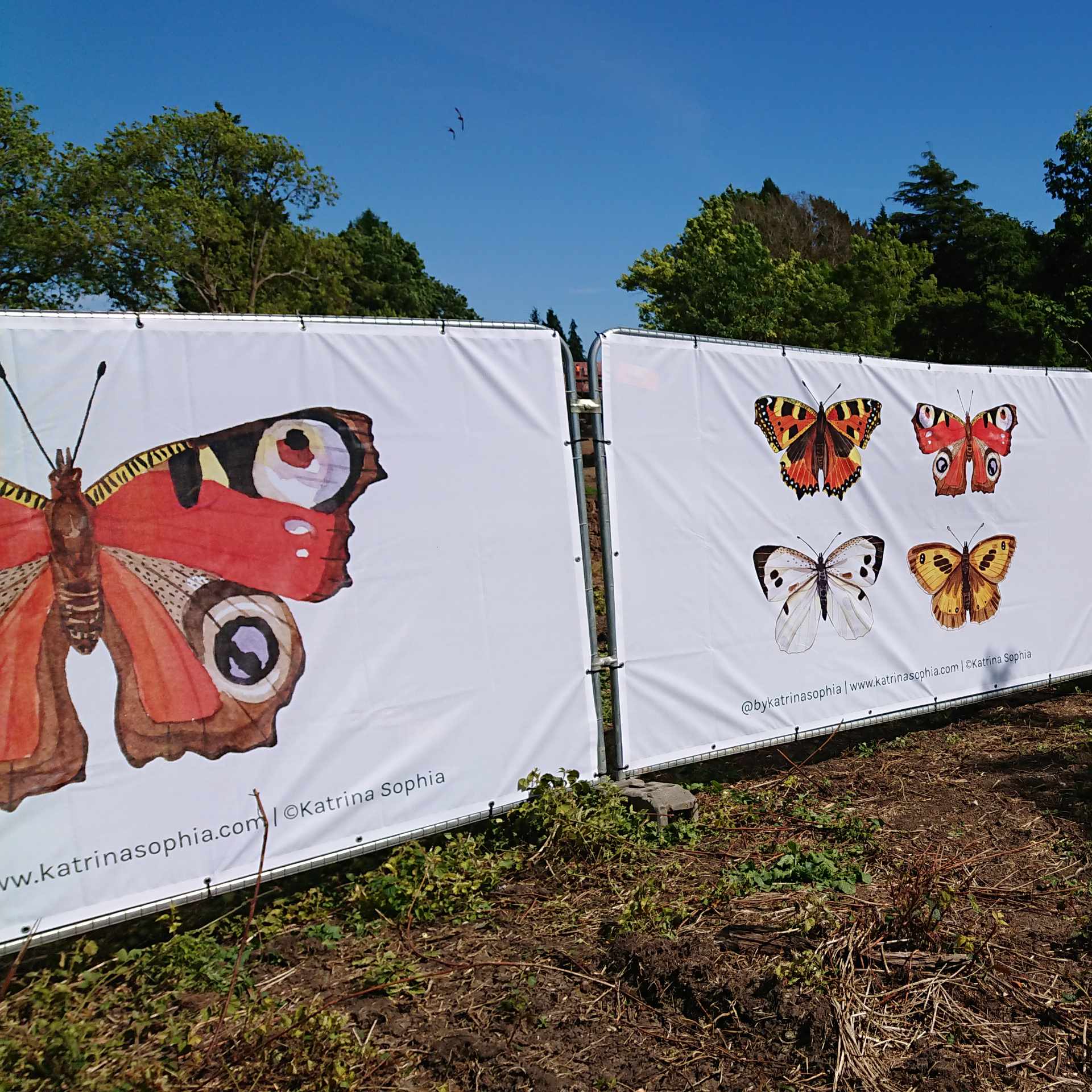 Collaboration with Stuart Perry for biodiversity