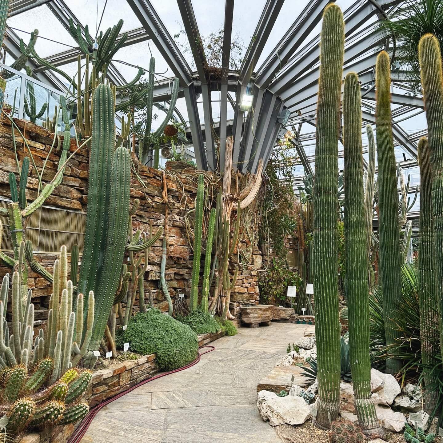 The greenhouses in Botanischer Garten, Berlin