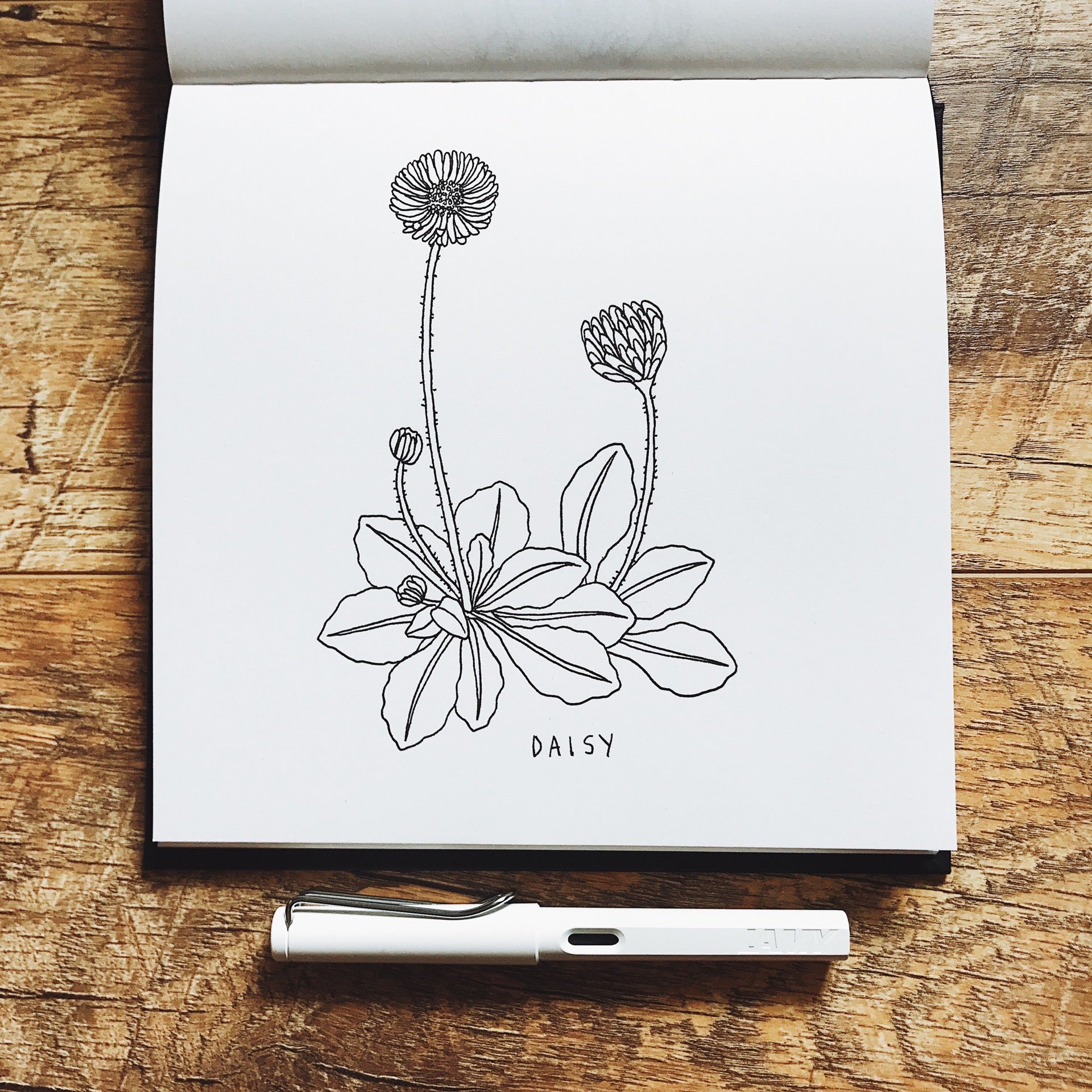 Drawing wildflowers for 100 days