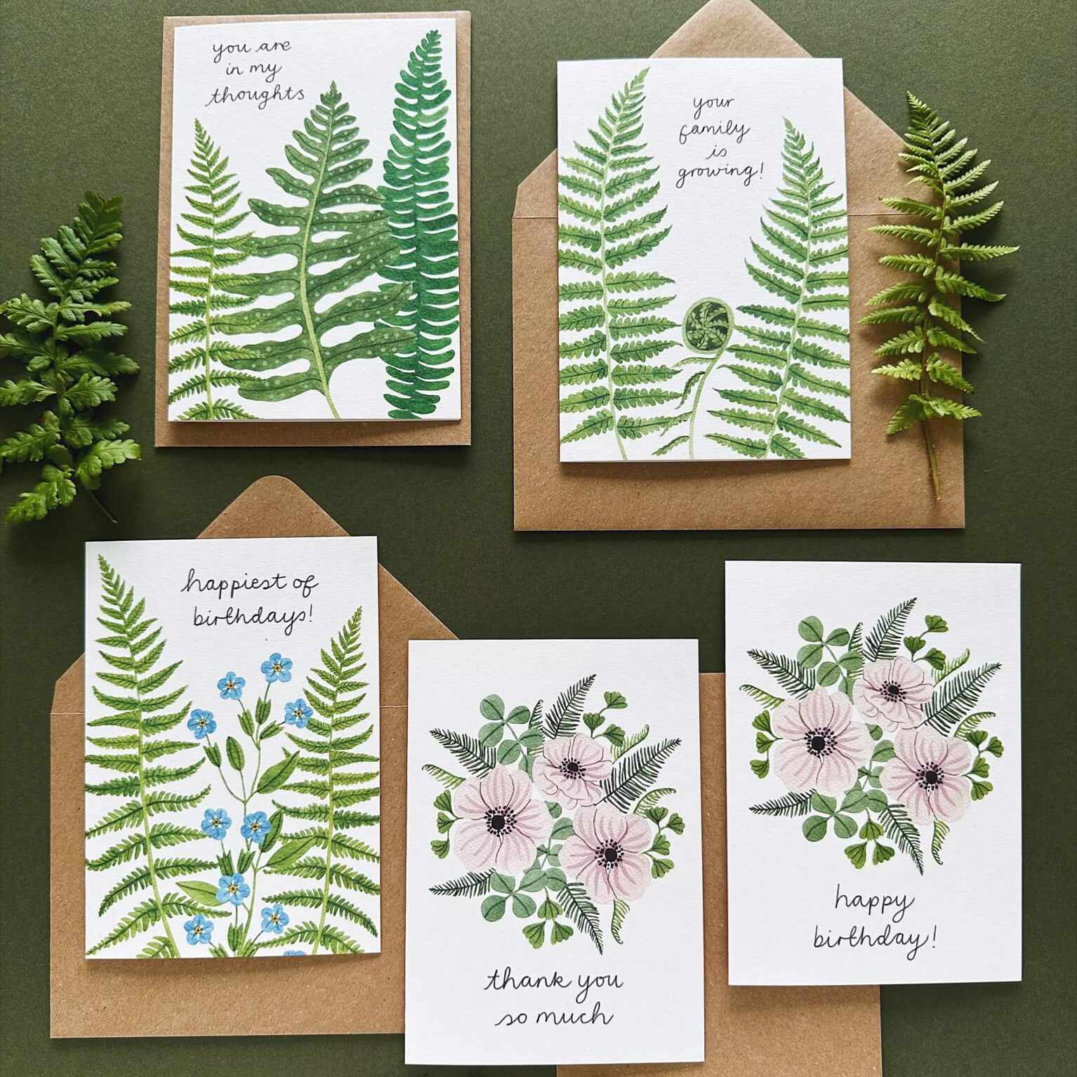 New collection: Ferns