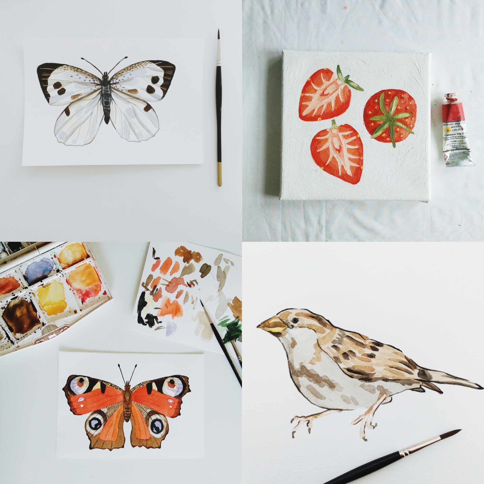 What I've learnt being creative every day for a year