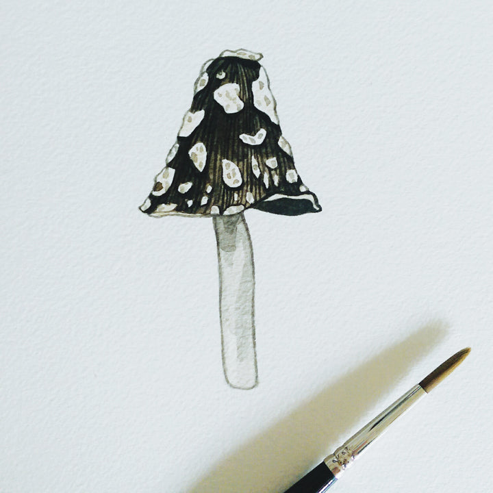 My daily art in November