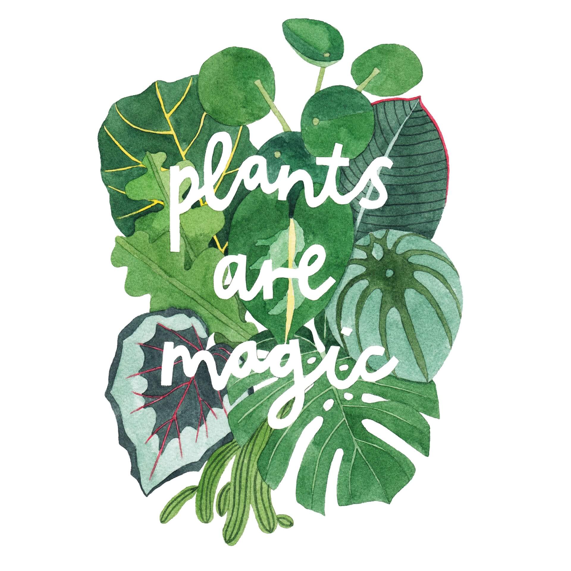 New illustration: Plants Are Magic