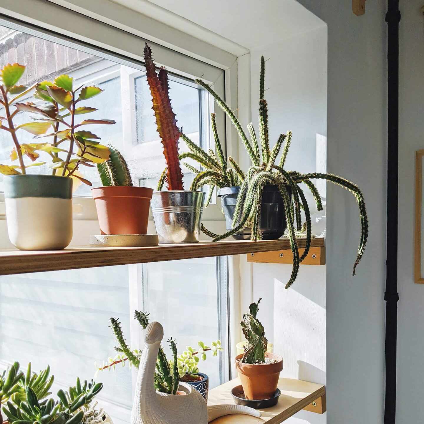 Reflecting on 2021 and goals for this year