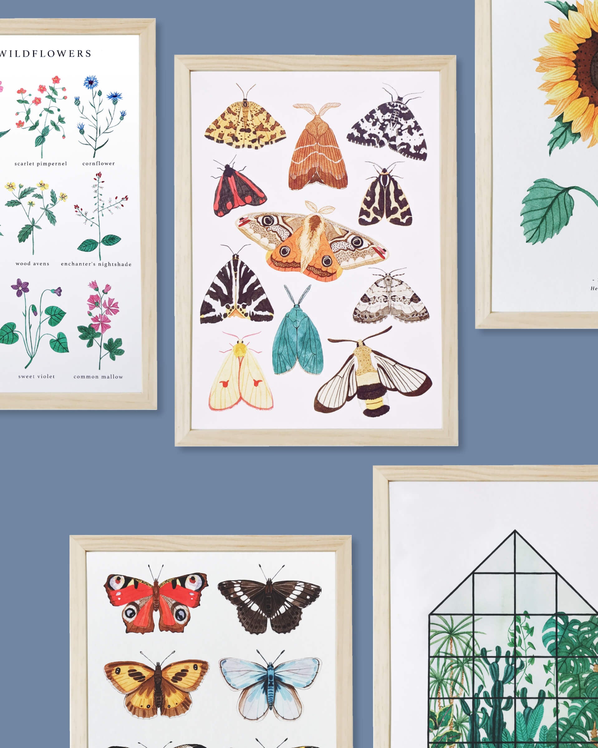 Art Prints