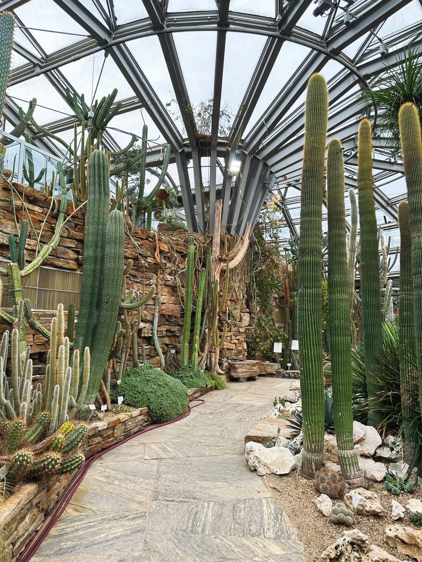 The greenhouses in Botanischer Garten, Berlin