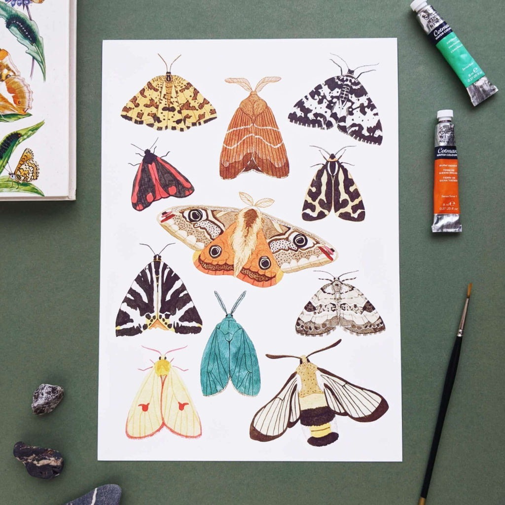 New print inspired by my cinnabar moth encounter