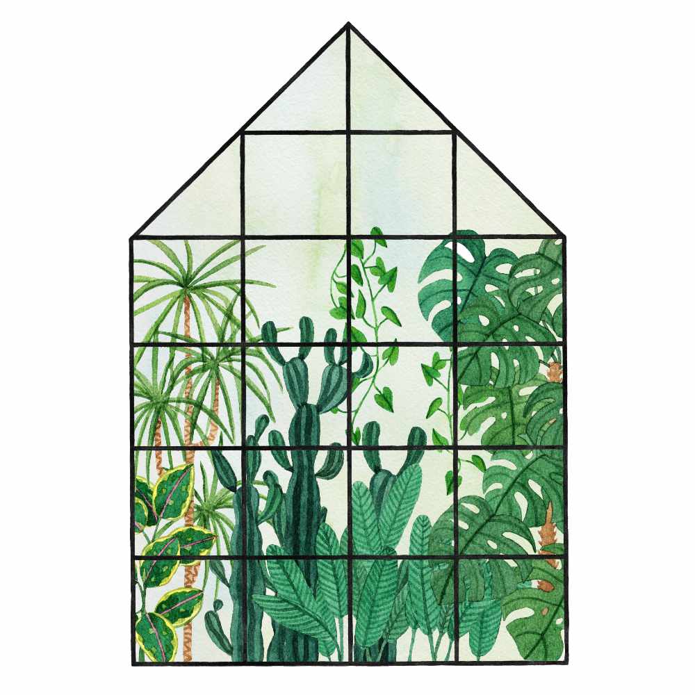 How I created Tropical House illustration
