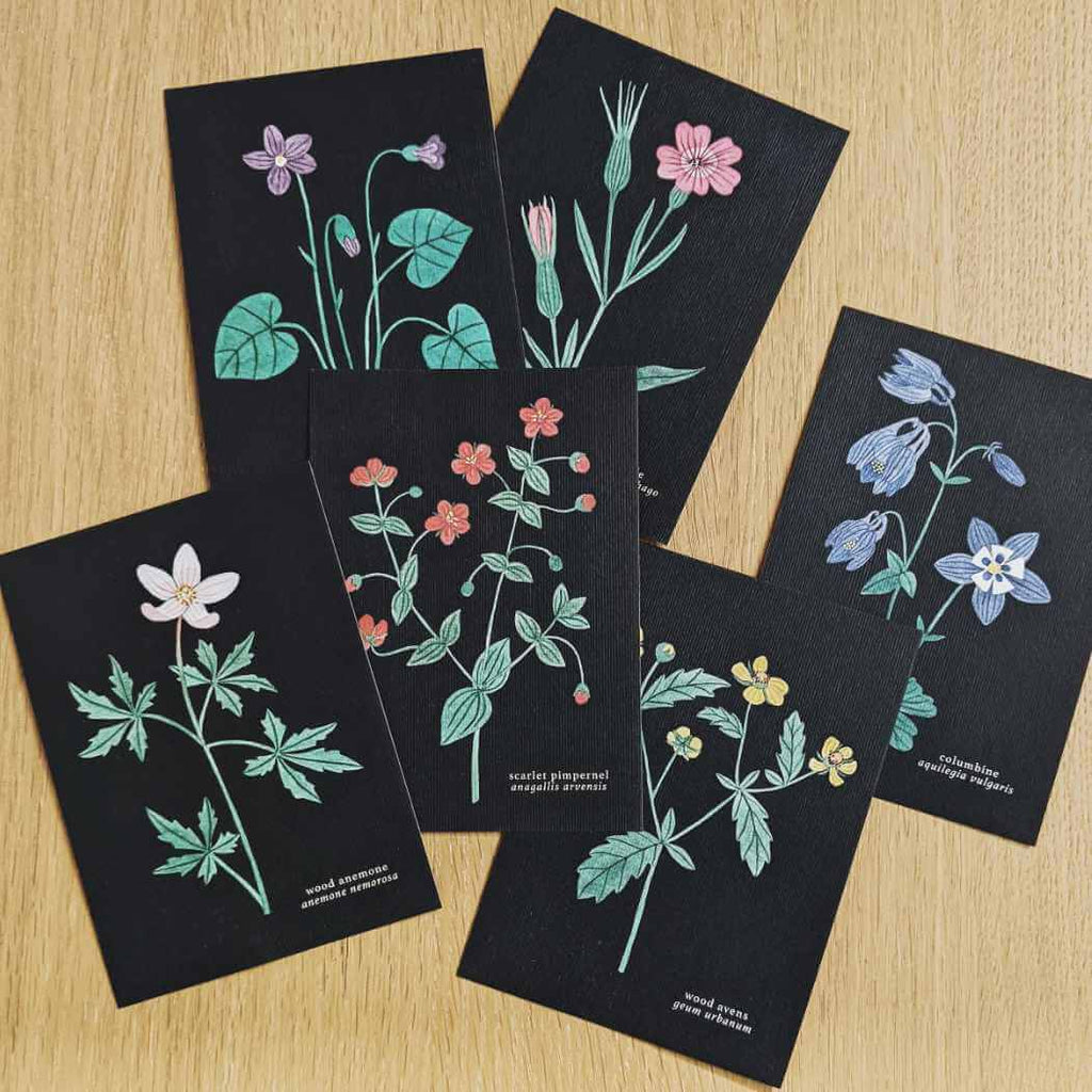 Introducing Wildflowers collection
