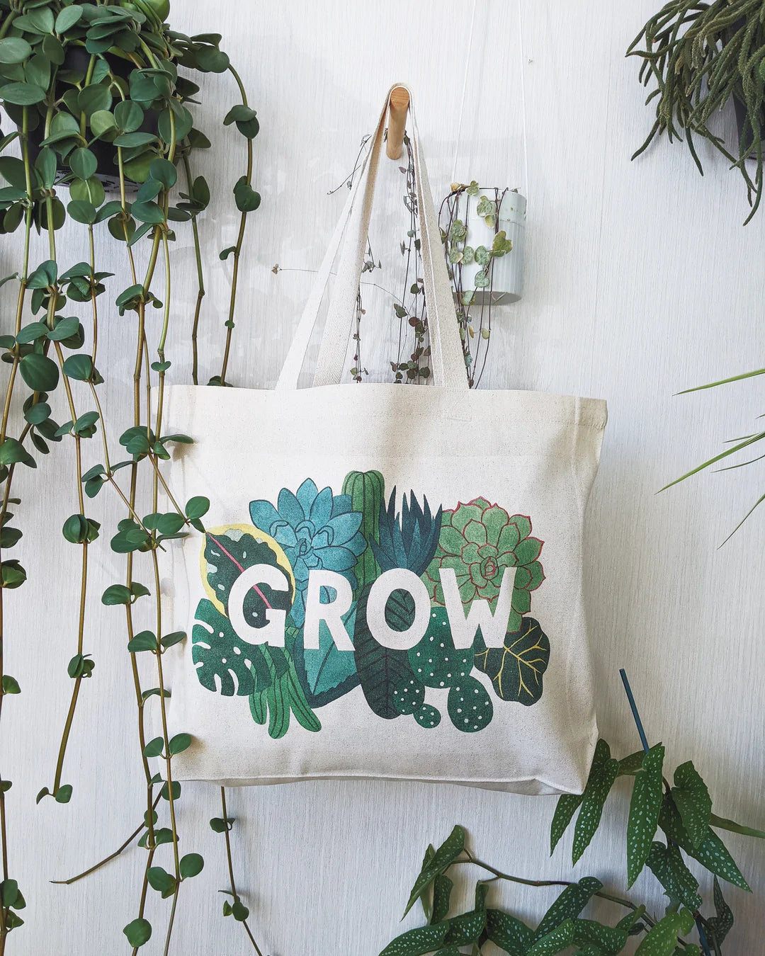 Gifts for Houseplant Enthusiasts